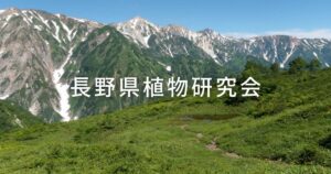 長野県植物研究会